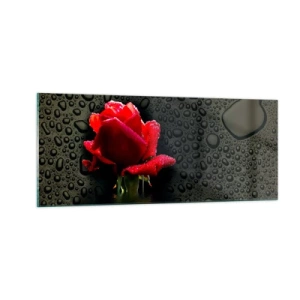 Tablou pe sticlă - Roșu și negru - 100x40 cm