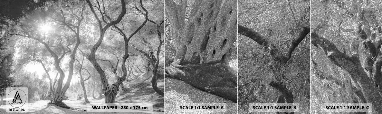 Mostră tapet Premium Sand - Într-o livadă de măslini - pădure, Iarnă, Copaci - 100x30 cm