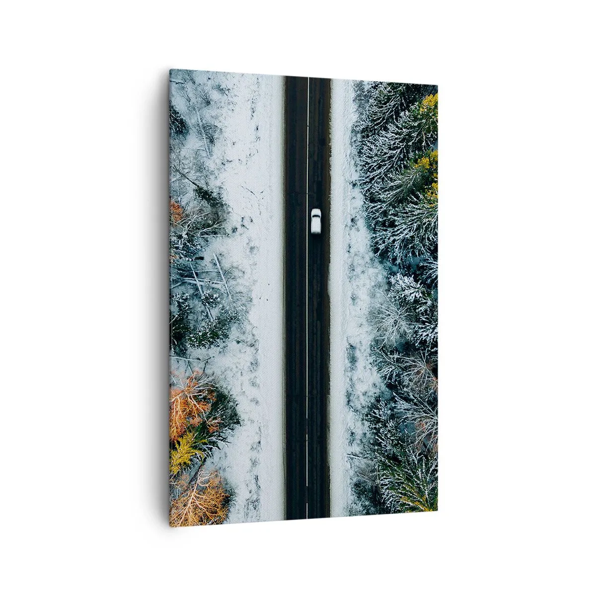 Tablou pe pânză - Prin pădurea de iarnă - 80x120 cm