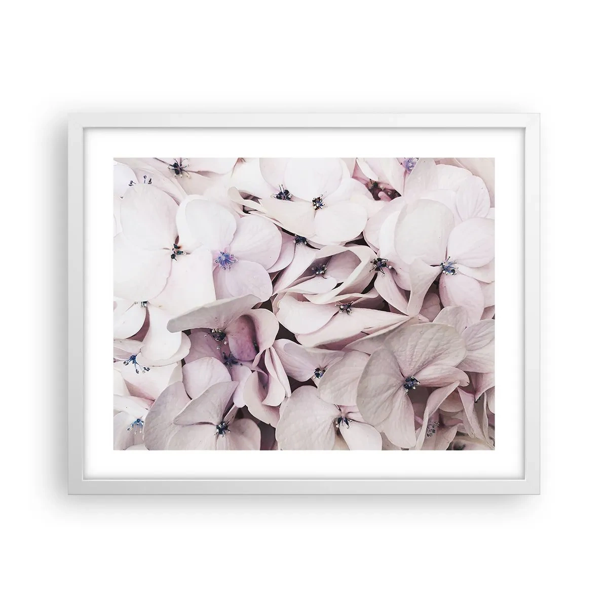 Poster în ramă albă - Într-un potop de flori - 50x40 cm