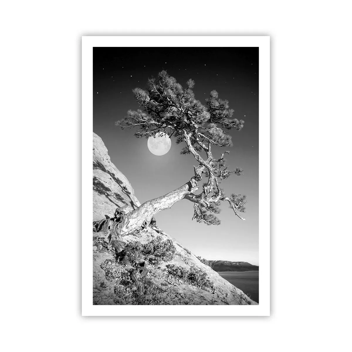 Poster - Războinicul victorios - 61x91 cm