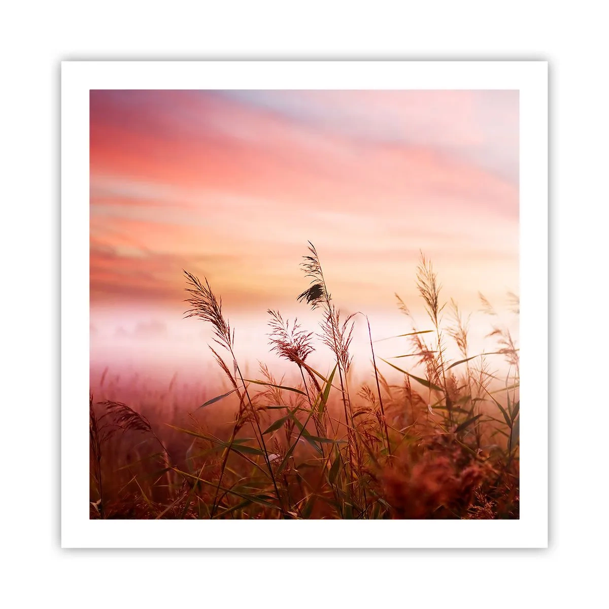 Poster - Zmeuri, suflante, vânt - 60x60 cm