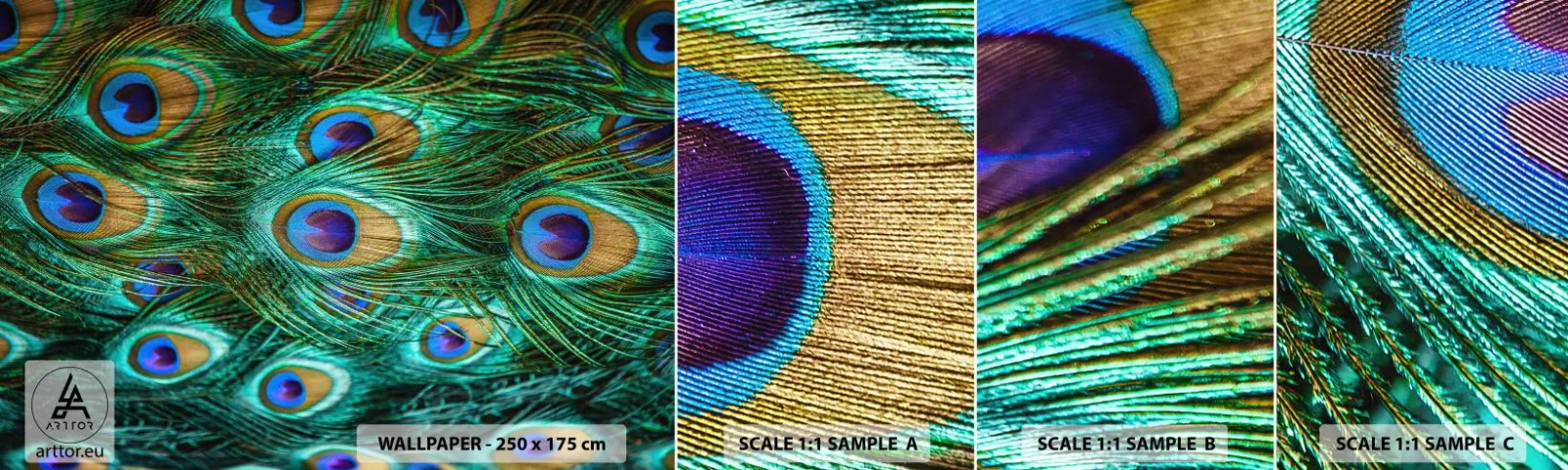 Mostră de Tapet Standard Eco - O privire cu ochi de păun - Abstracția, Pene de păun, Pană de pasăre - 100x30 cm