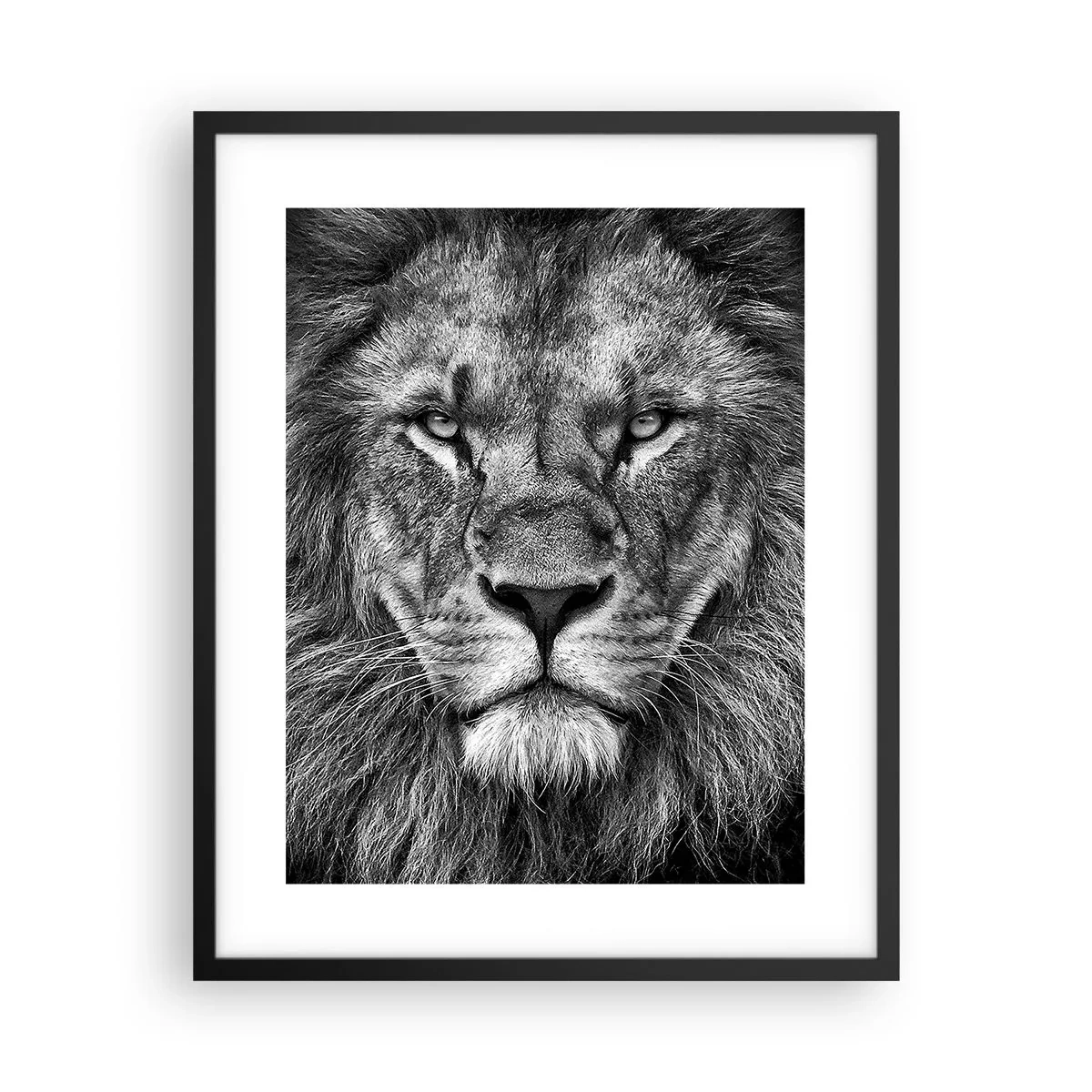 Poster în ramă neagră - În ținuta de încoronare - 40x50 cm