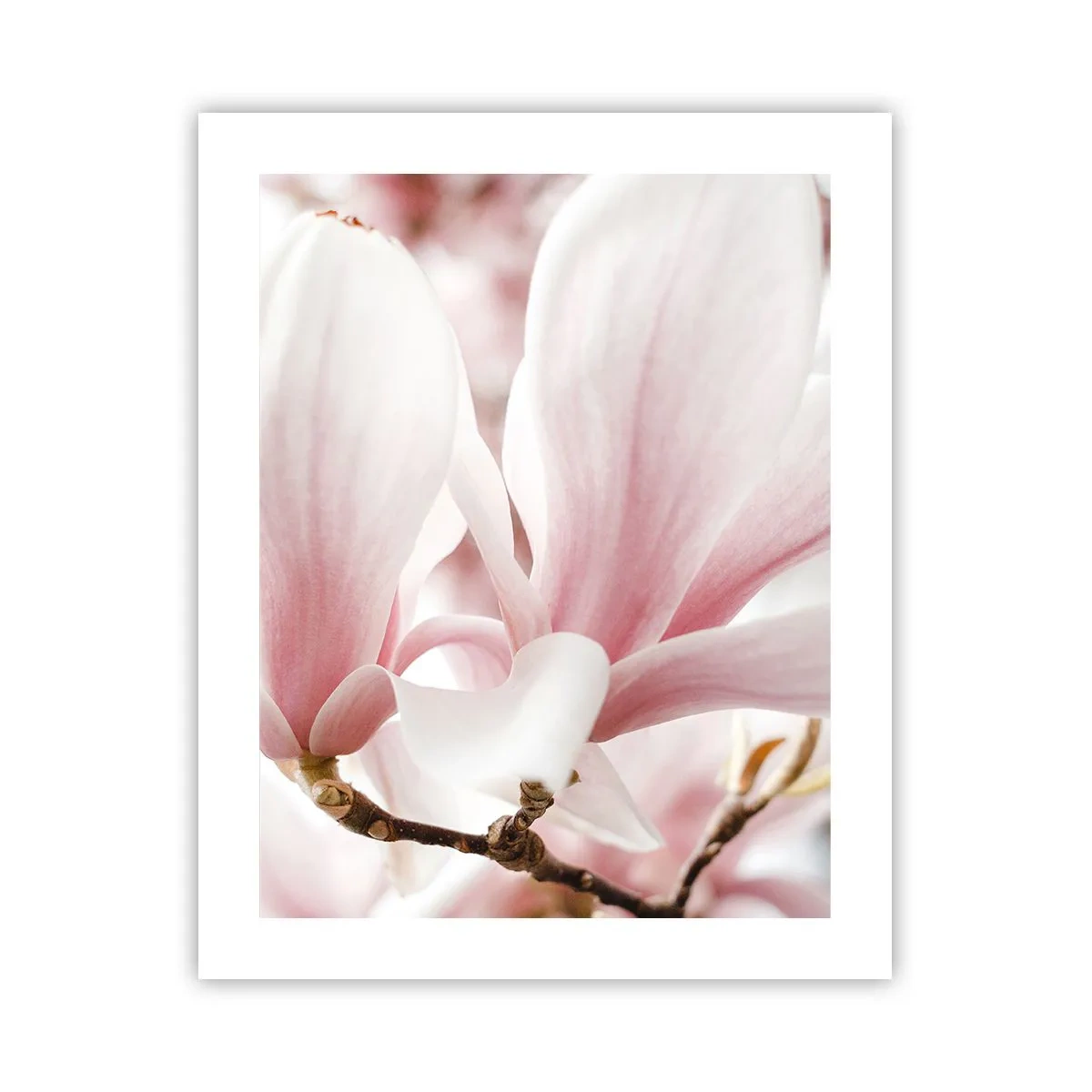 Poster - Imensitatea sensibilității - 40x50 cm