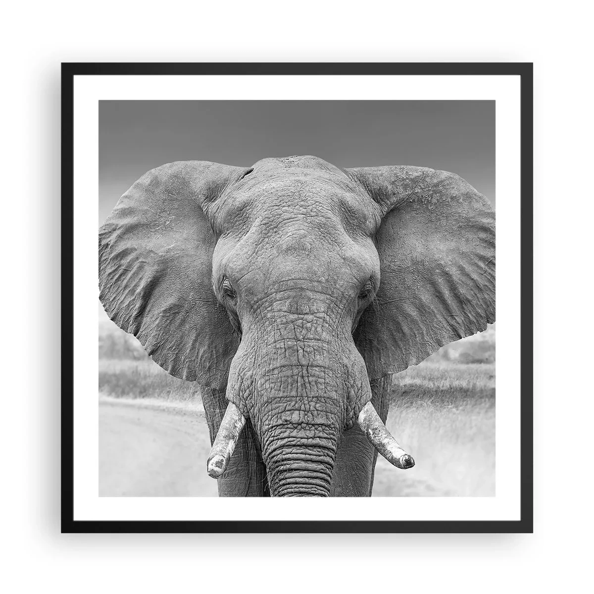 Poster în ramă neagră - Bun venit în lumea mea - 60x60 cm