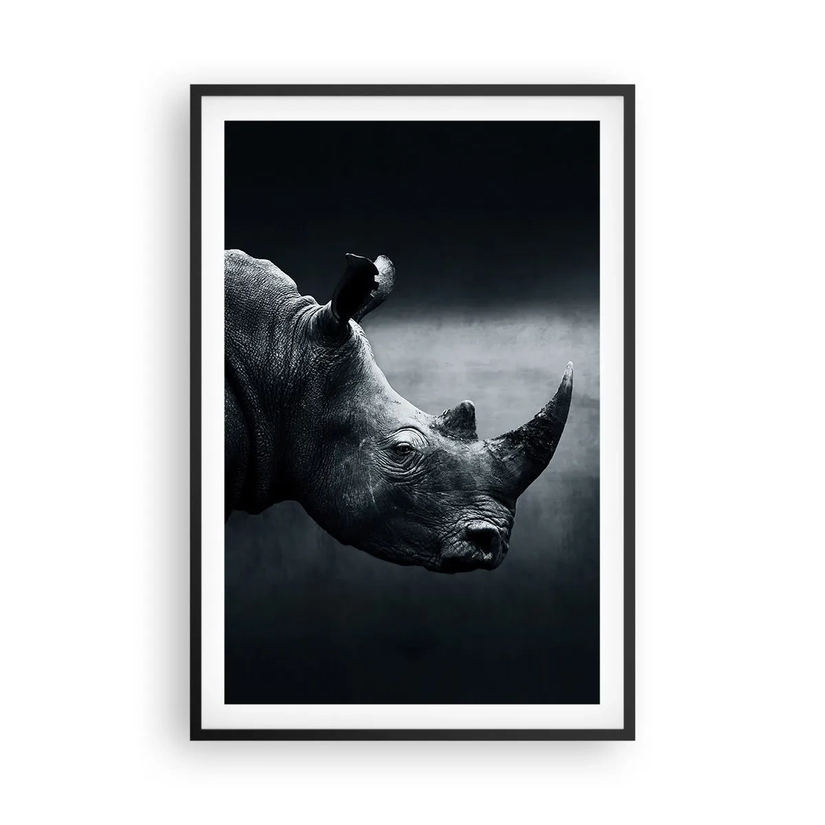 Poster în ramă neagră - Profil drept - 61x91 cm