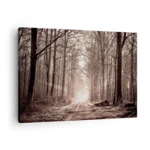 Tablou pe pânză Canvas - O potecă de pădure printre copaci în tonuri sepia - 70x50cm - Catedrala Forestieră - Decorațiune modernă pentru perete pentru living și dormitor ARTTOR