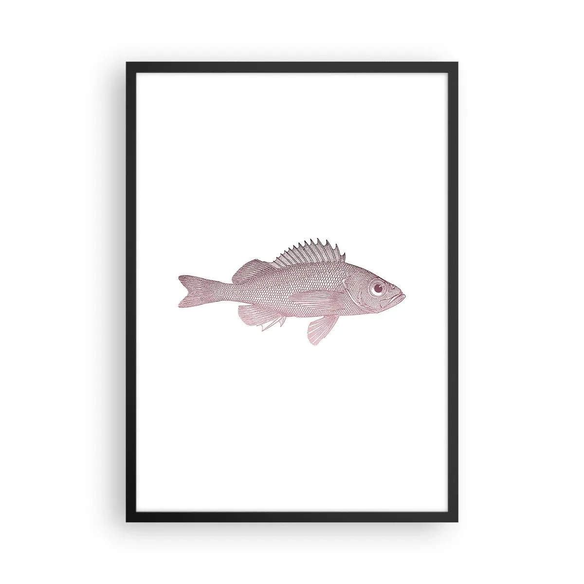 Poster în ramă neagră - Grafică cu pește pe fundal alb, în stil minimalist - 50x70cm - Pește cu ochi mari - Decorațiune modernă pentru perete pentru living și dormitor ARTTOR