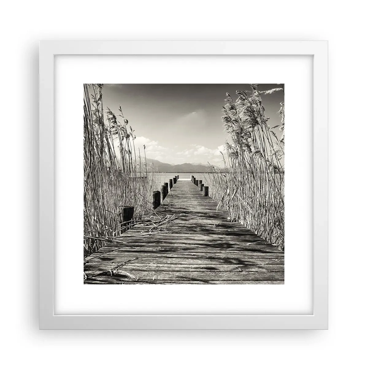 Poster în ramă albă - În intimitatea ierburilor - 30x30 cm