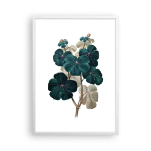 Poster în ramă albă - Dintr-un vechi ierbar - 50x70 cm