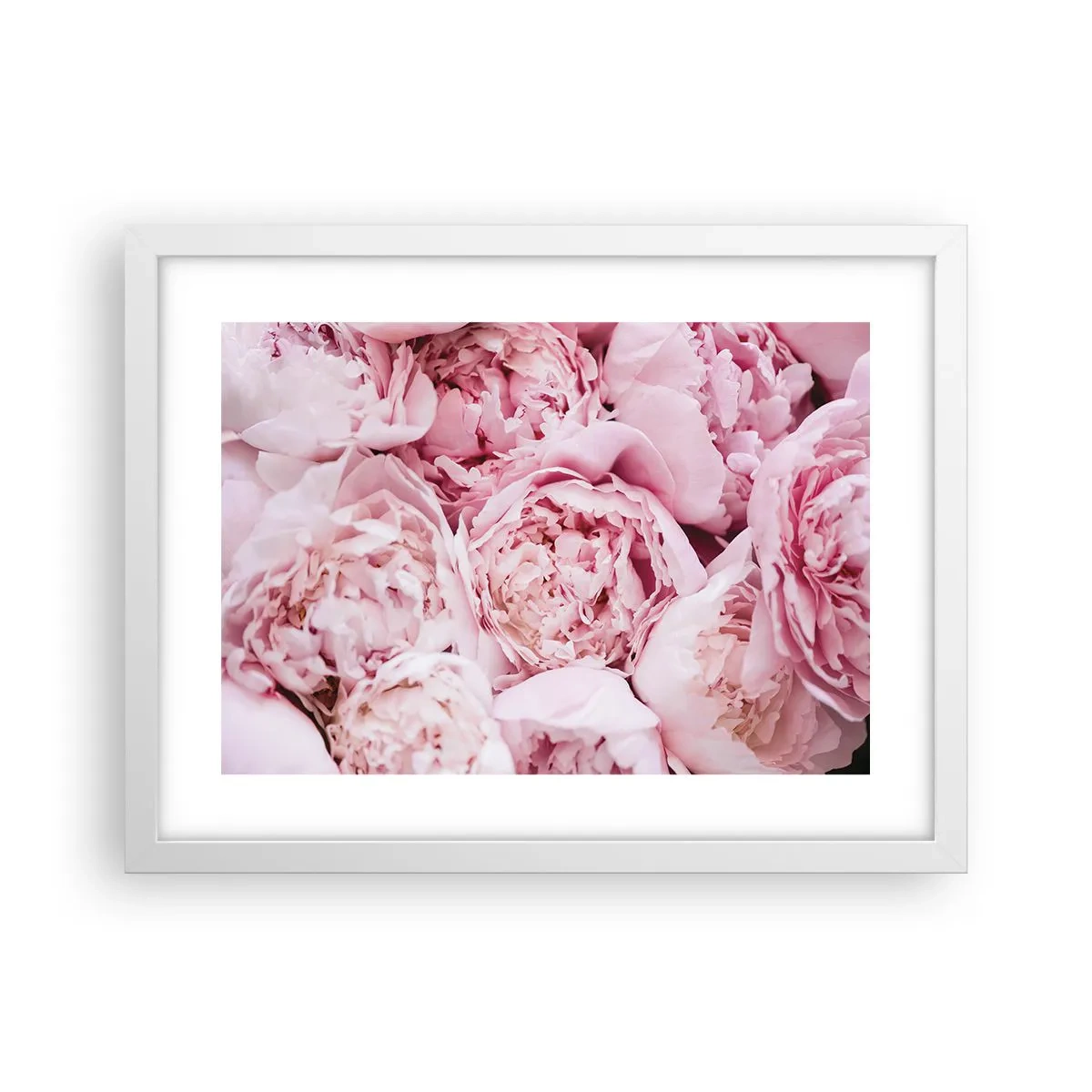 Poster în ramă albă - Îmbrățișate și parfumate - 40x30 cm