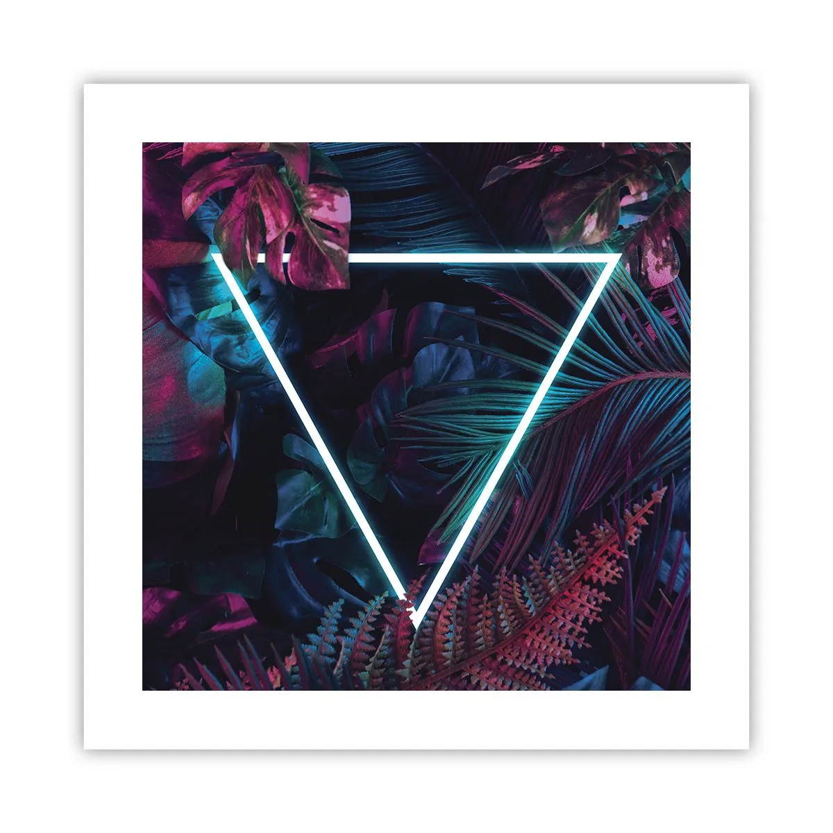Poster - Grădină în stil disco - 40x40 cm