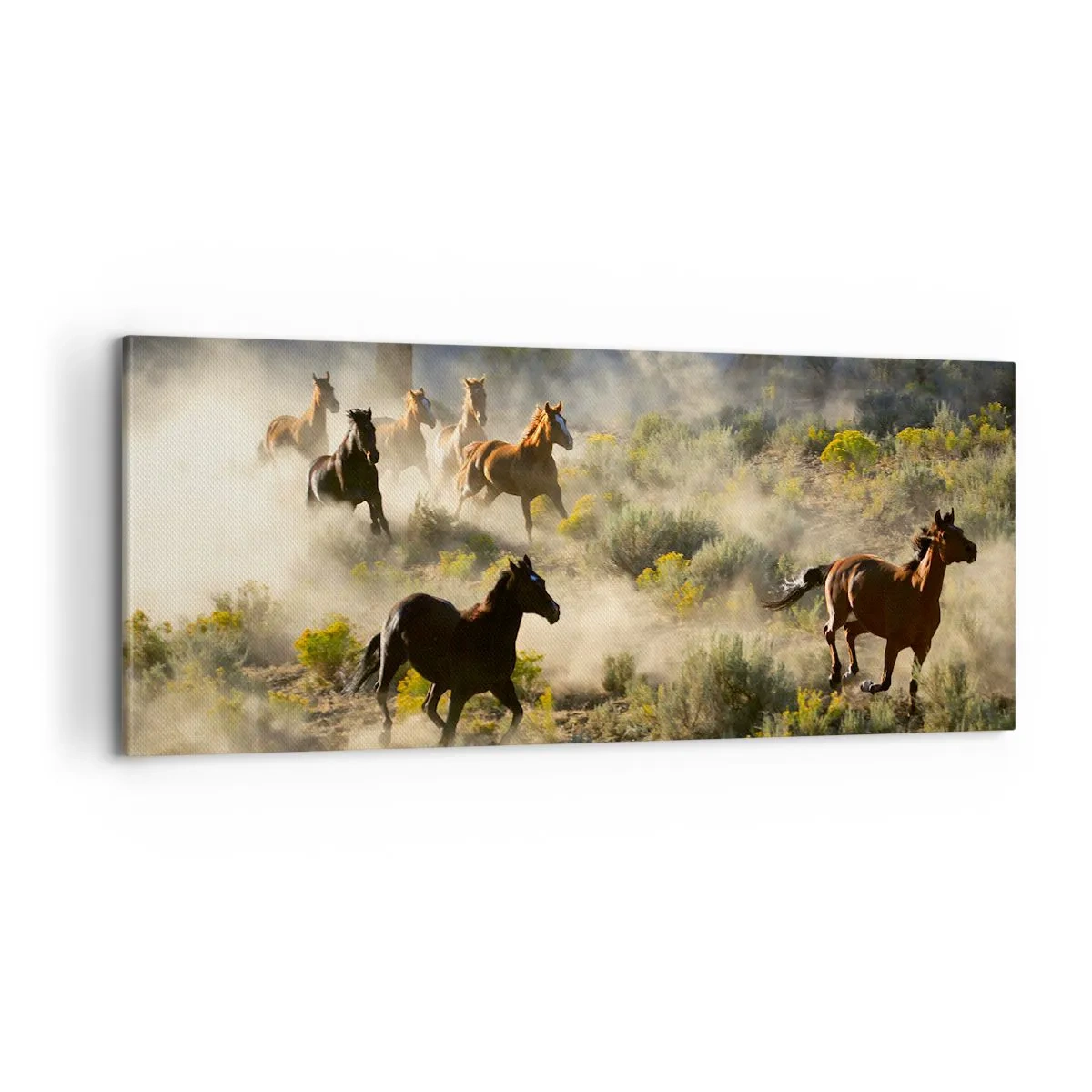 Tablou pe pânză - Rivalitatea - libertate sau putere masculină? - 100x40 cm