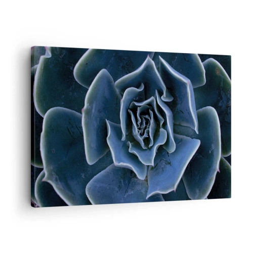 Tablou pe pânză Canvas - Prim-plan al unei rozete suculente verzi - 70x50cm - Floare de deșert - Decorațiune modernă pentru perete pentru living și dormitor ARTTOR