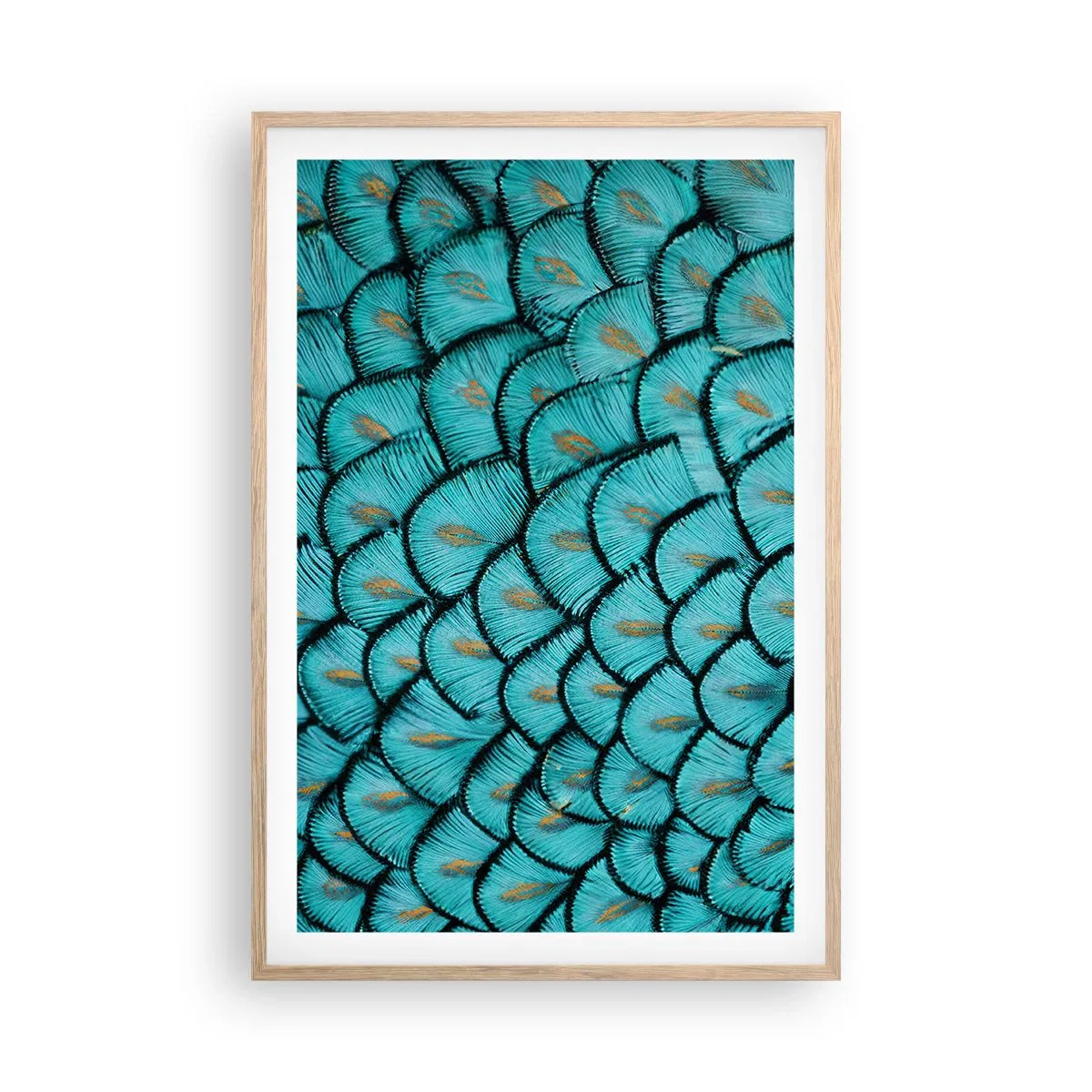 Poster în ramă de stejar deschis - Marea gală a penelor - 61x91 cm