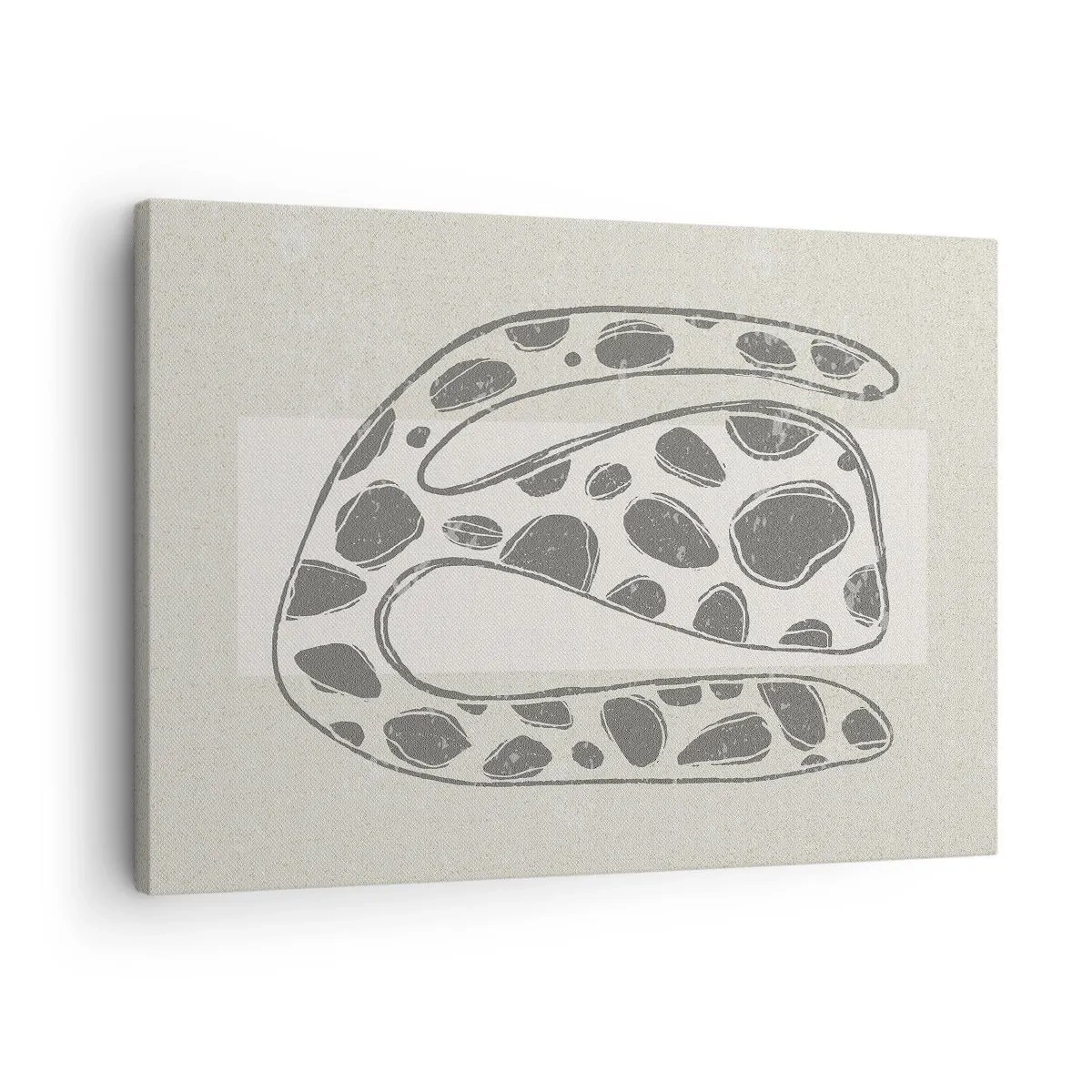 Tablou pe pânză Canvas - Model organic abstract în nuanțe de gri - 70x50cm - O creatură bizară - Decorațiune modernă pentru perete pentru living și dormitor ARTTOR