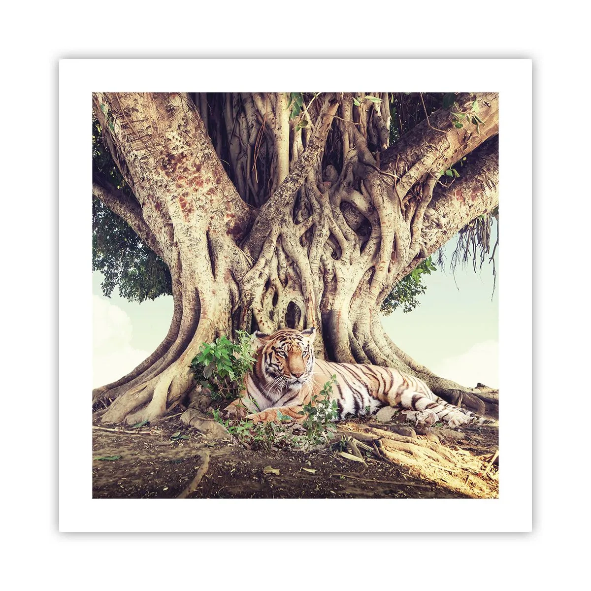 Poster - O perspectivă din Geneză - 50x50 cm