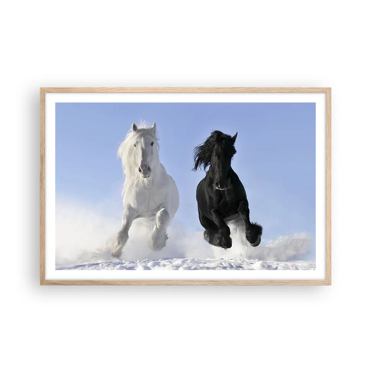 Poster în ramă de stejar deschis - Galop de alb și negru - 91x61 cm