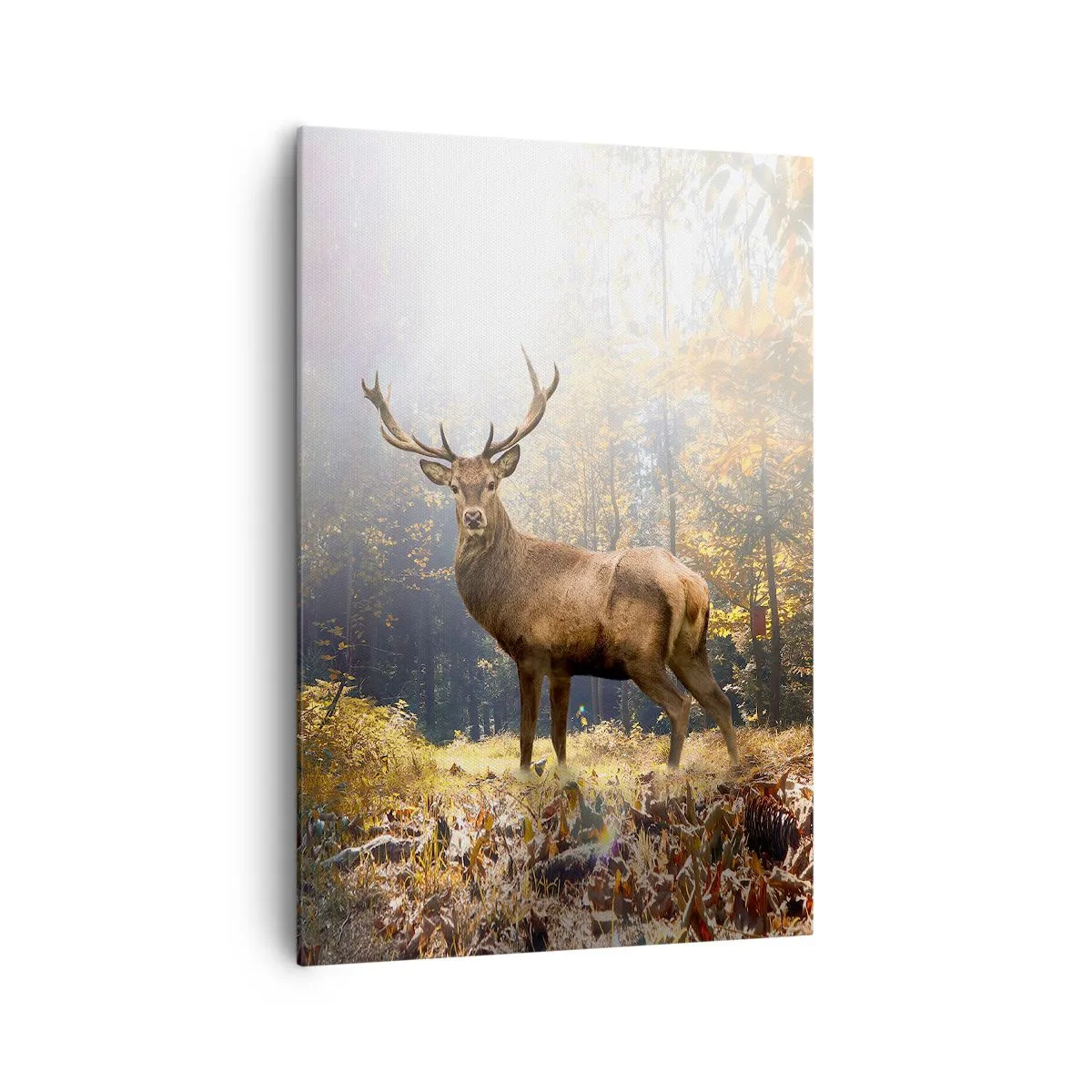 Tablou pe pânză - Măreție calmă - 70x100 cm