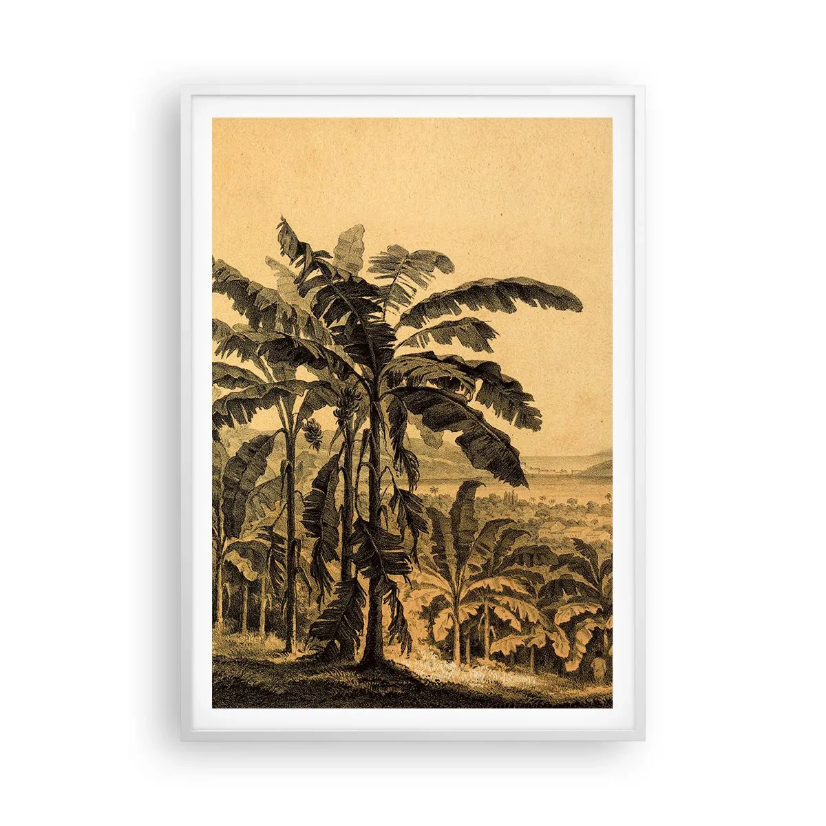 Poster în ramă albă - În stil colonial - 70x100 cm