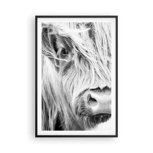 Poster în ramă neagră - Sălbăticie scoțiană - 61x91 cm