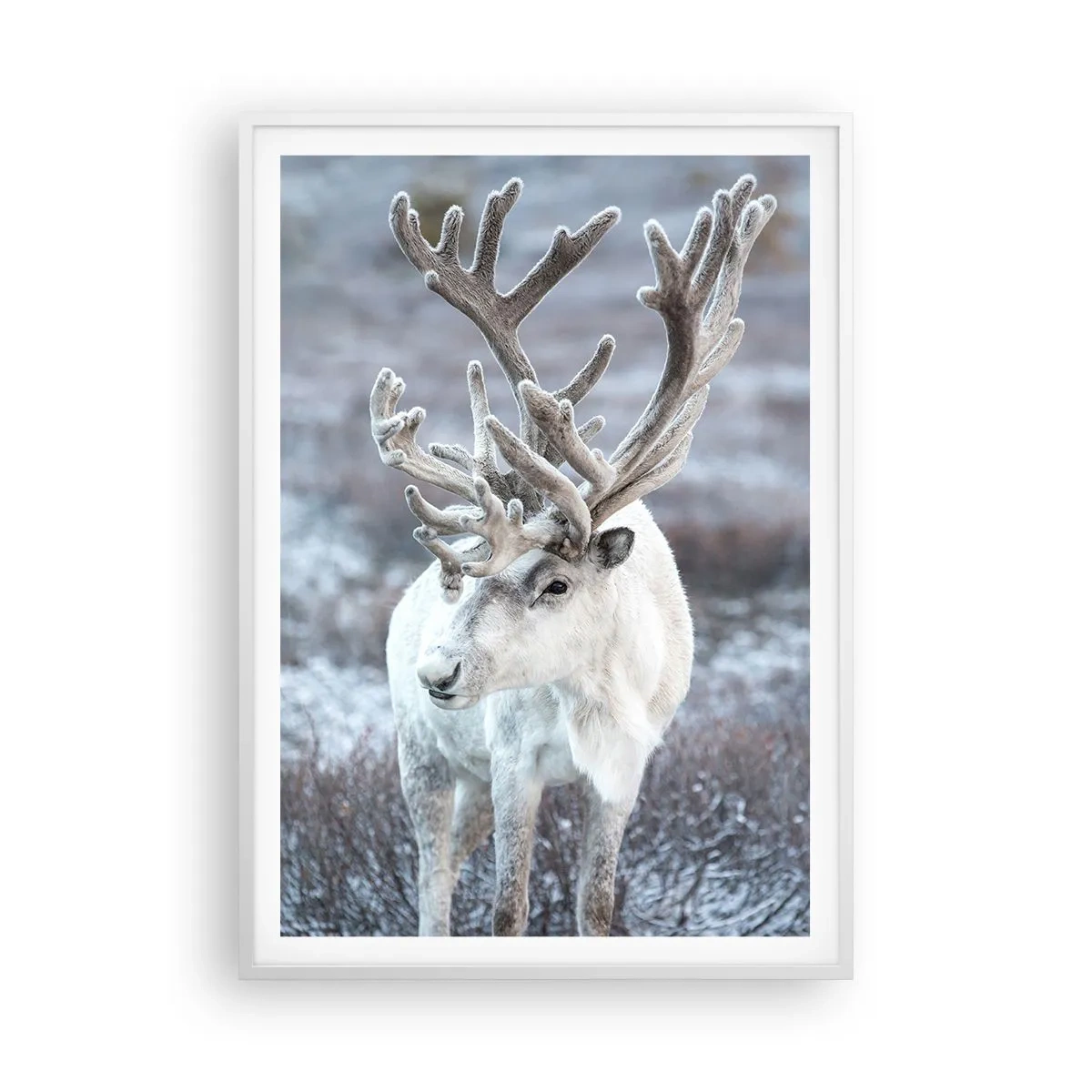 Poster în ramă albă - Portret la soare - 70x100 cm