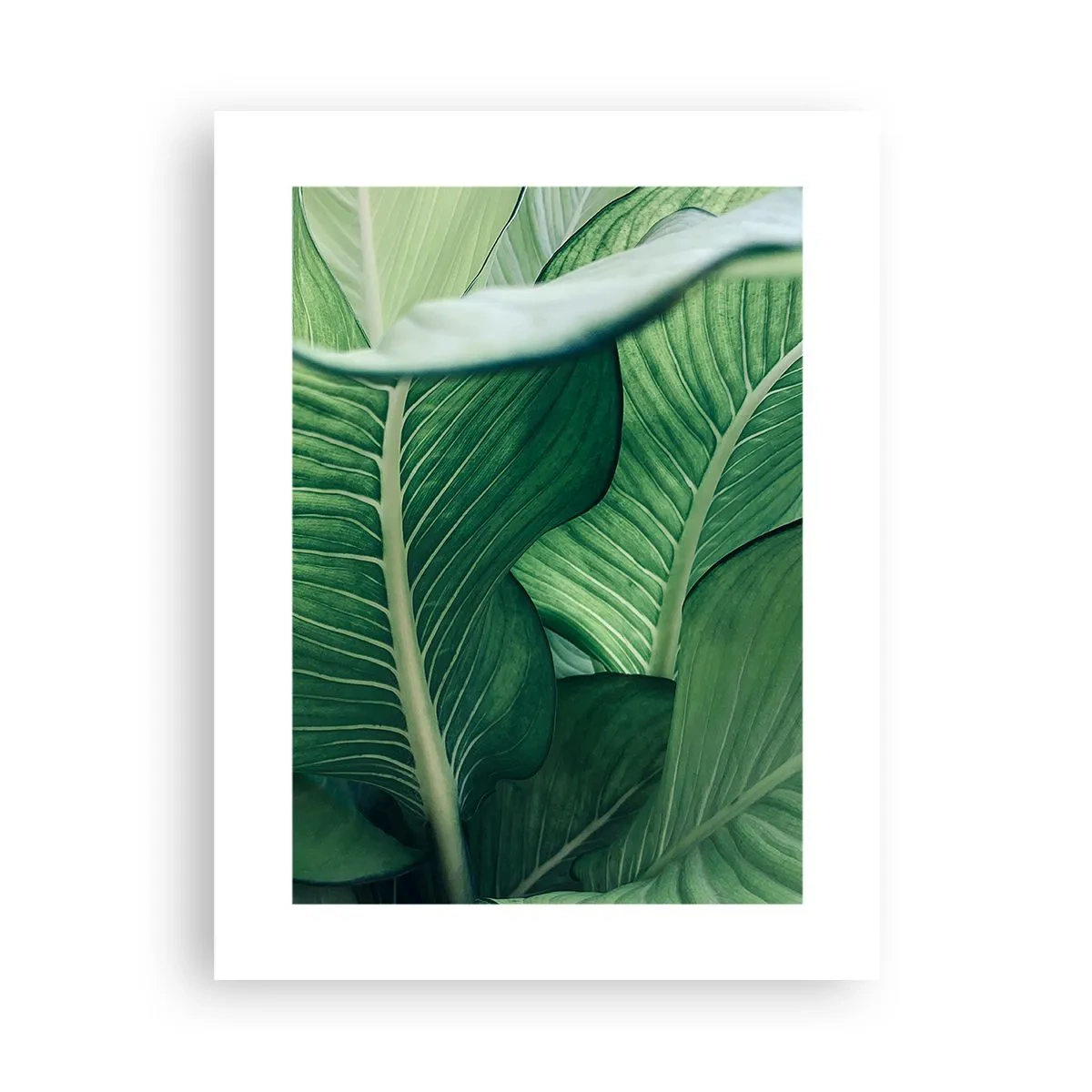 Poster - Viață intensă în verde - 30x40 cm