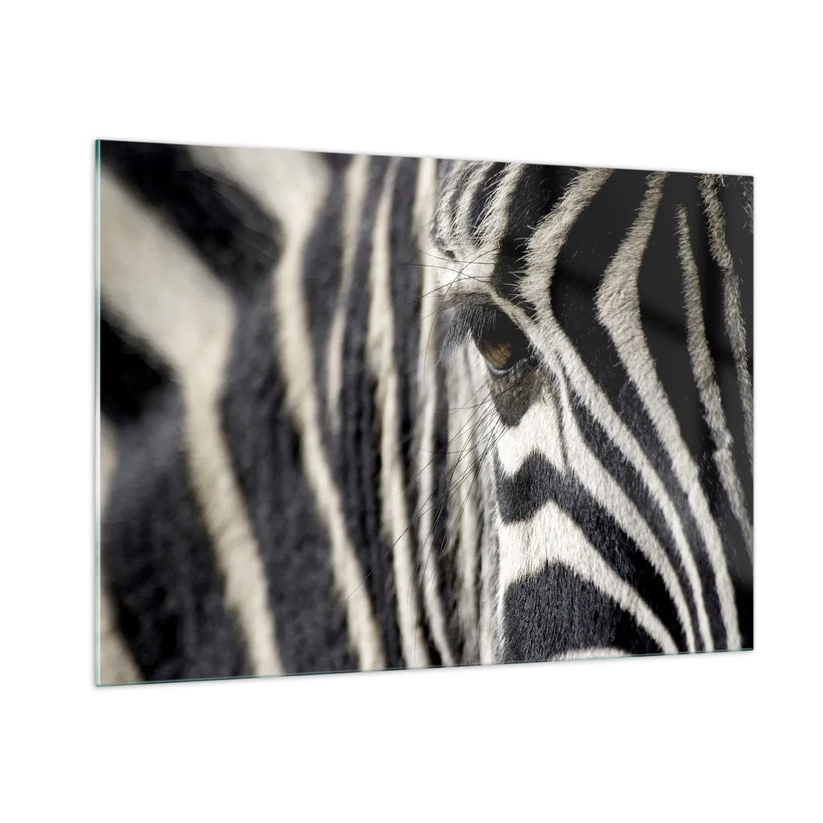 Tablou pe sticlă - Portret cu dungi - 100x70 cm