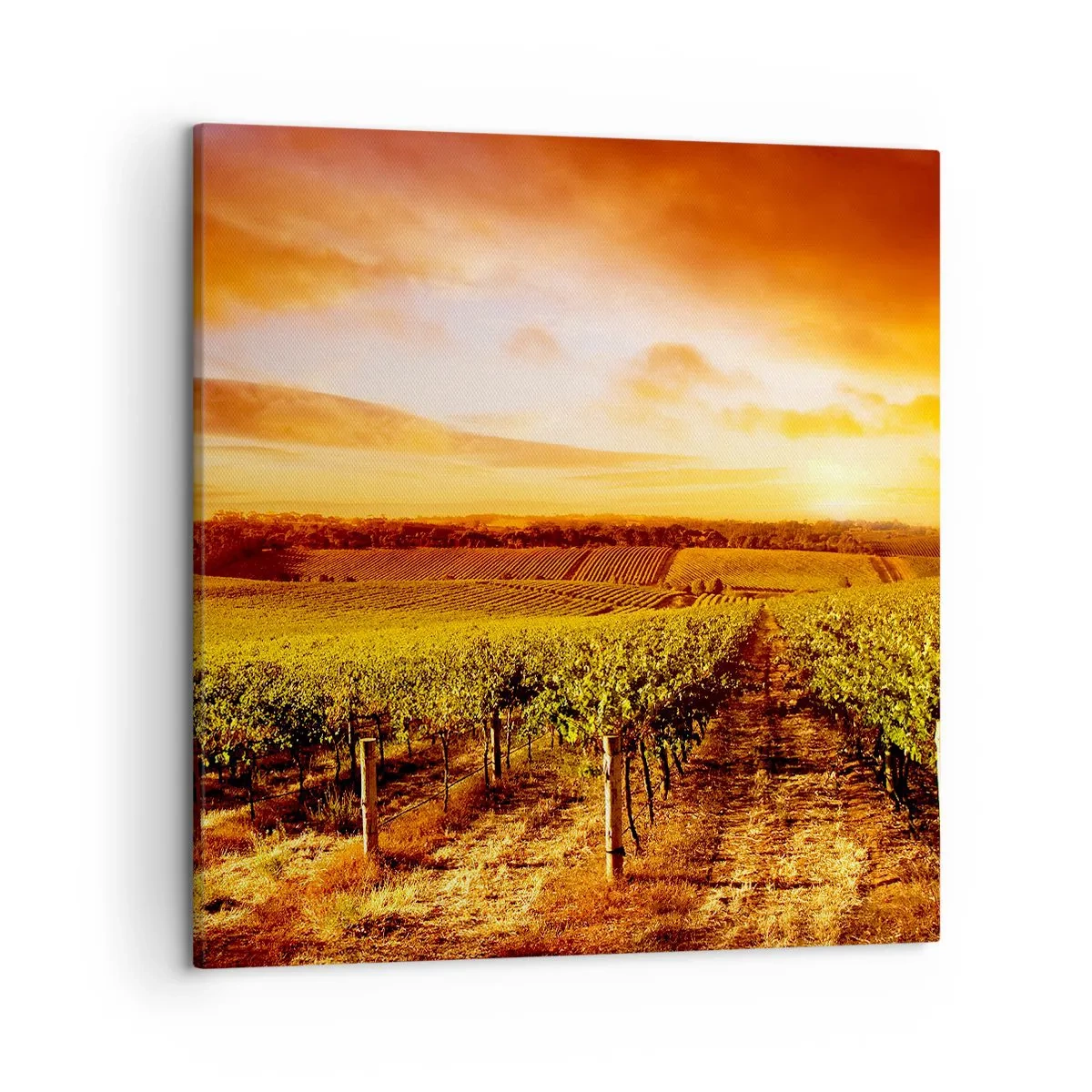 Tablou pe pânză - Cu un iz de fructe, cu o notă de soare - 50x50 cm