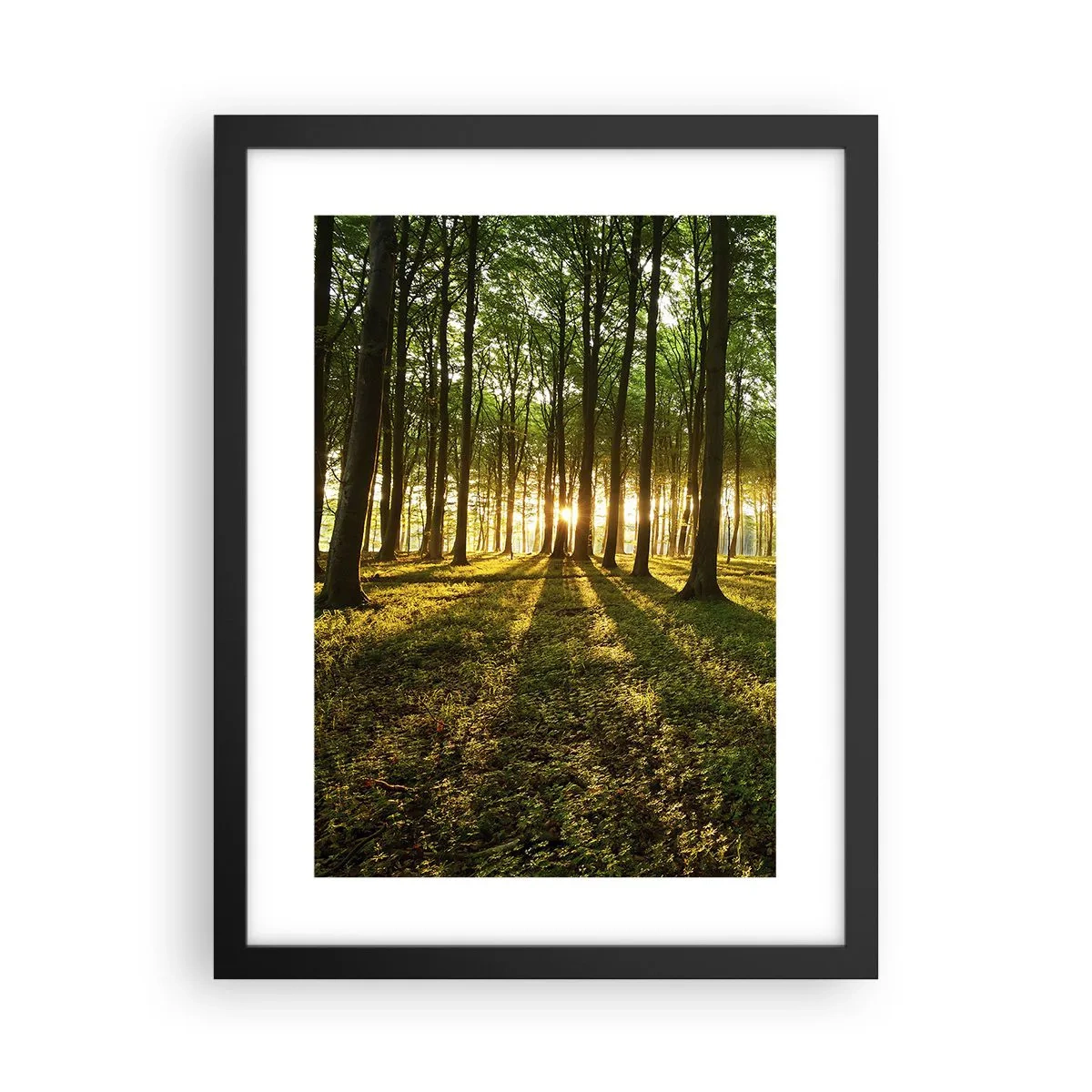 Poster în ramă neagră - Fotografia tuturor primăverilor - 30x40 cm