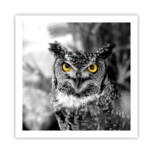 Poster - Nimic nu poate fi ascuns - 60x60 cm