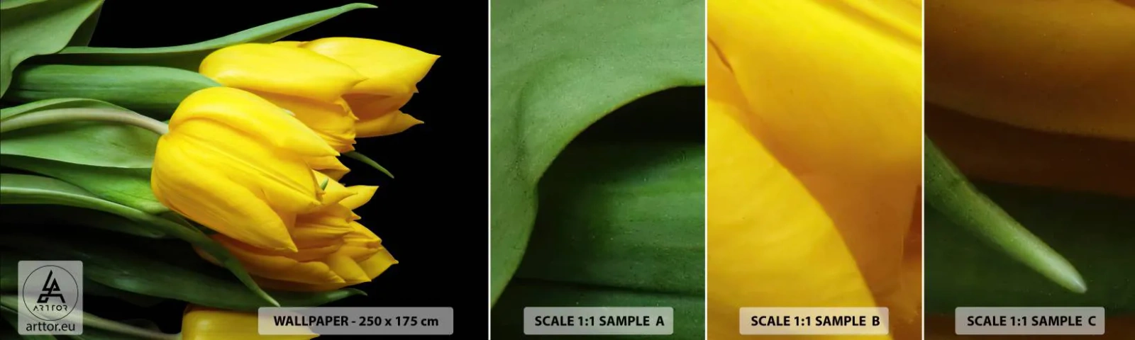 Mostră tapet autocolant Deluxe Sticker - Răsărind din soarele pur - Flori, Lalele, Buchet de flori - 100x30 cm