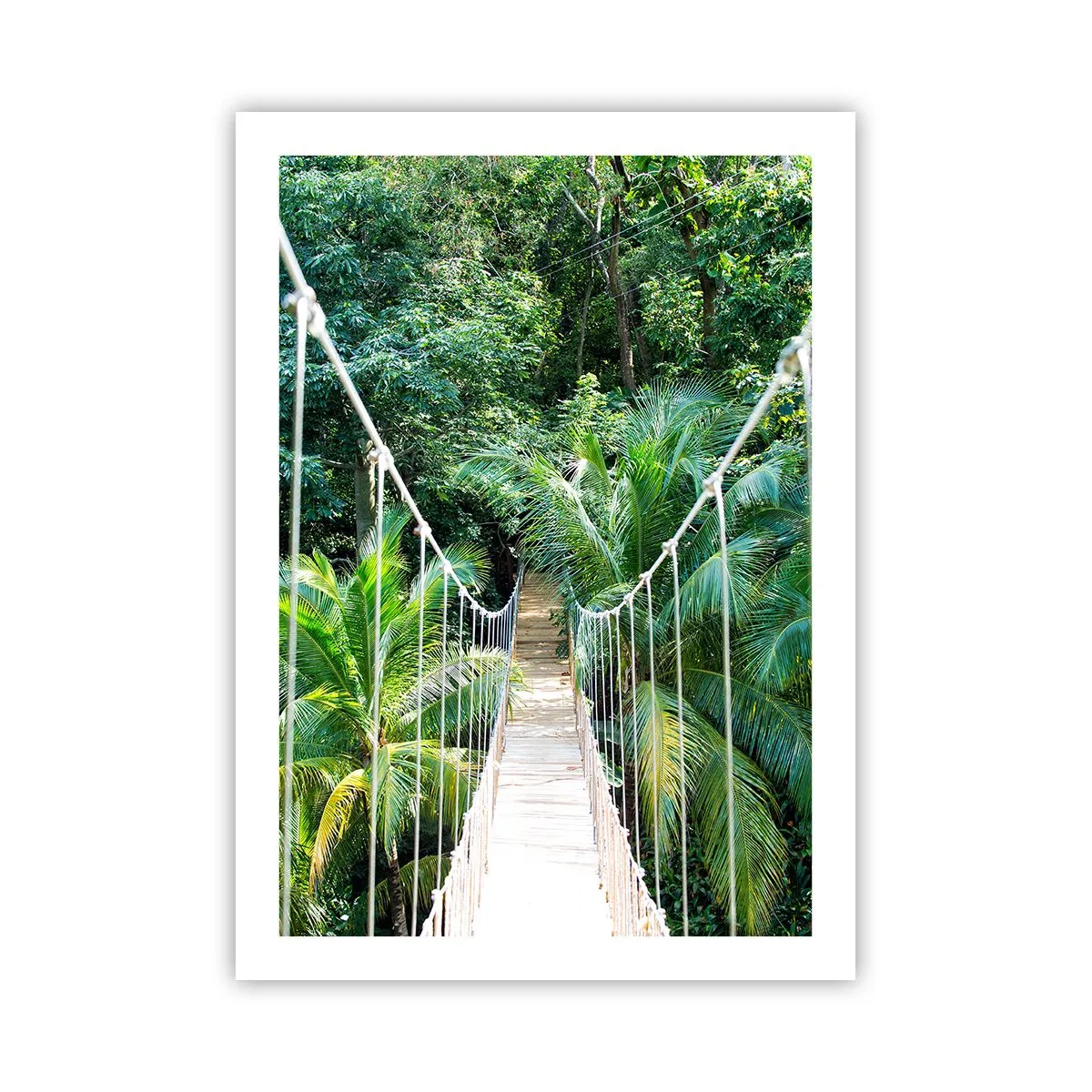 Poster - Welcome to the jungle! - 50x70 cm