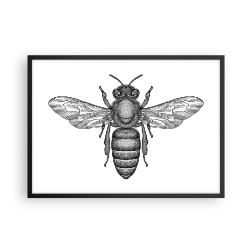 Poster în ramă neagră - Portret de insectă - 70x50 cm