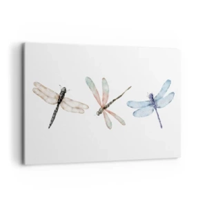 Tablou pe pânză - Libelule imponderabile - 120x80 cm