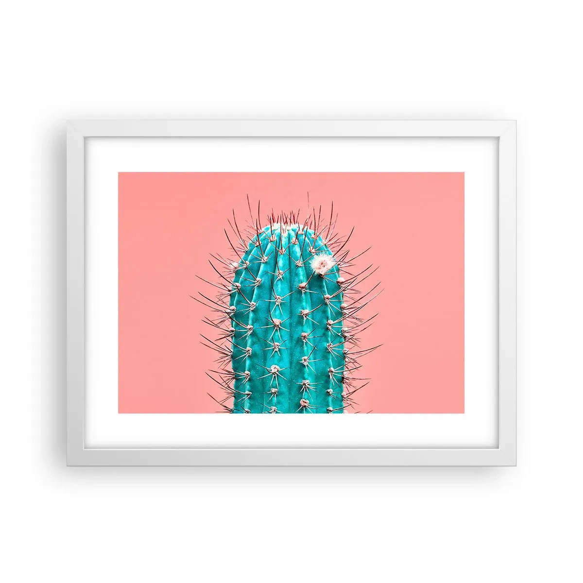 Poster în ramă albă - Doar privește - 40x30 cm