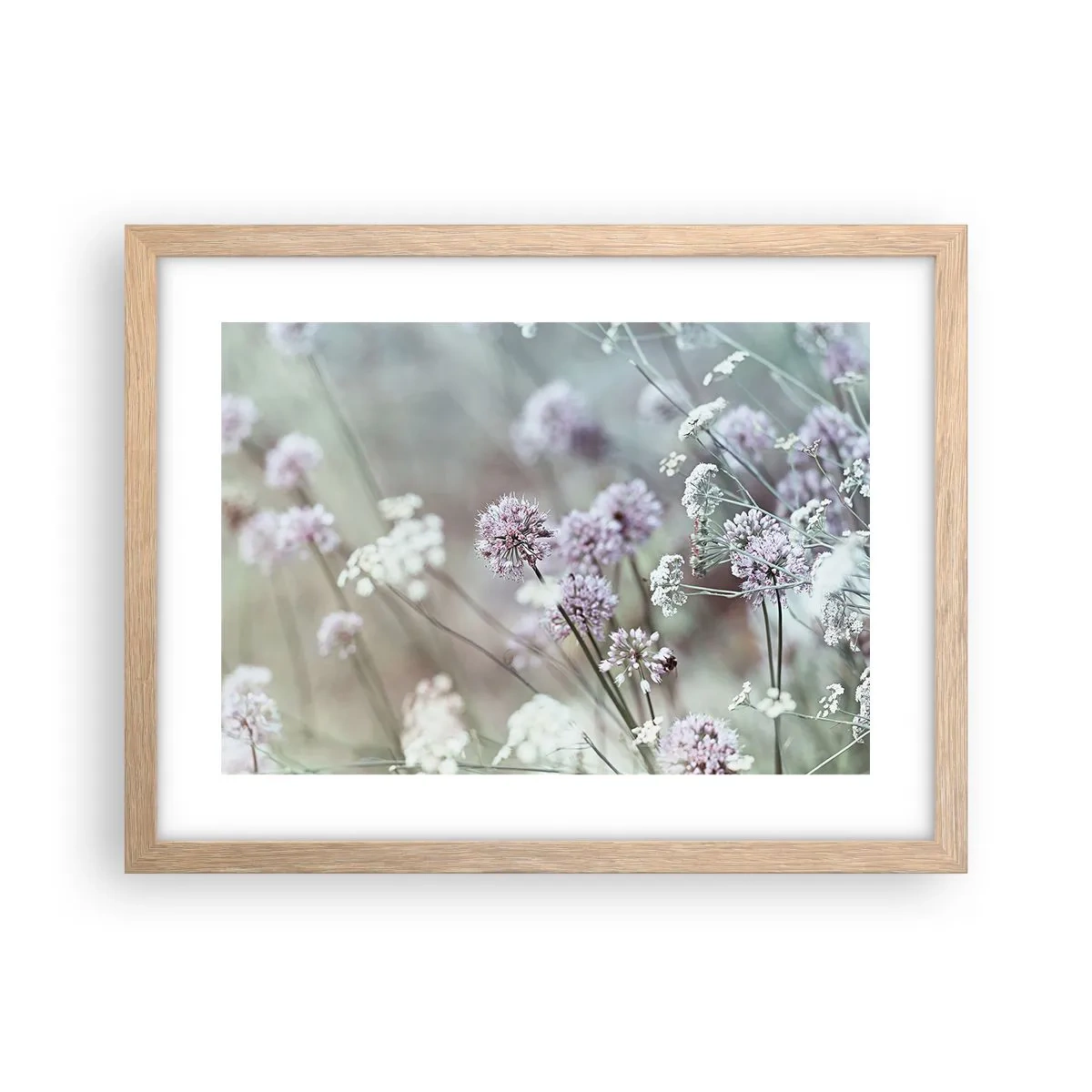 Poster în ramă de stejar deschis - Ierburi dulci filigranate - 40x30 cm