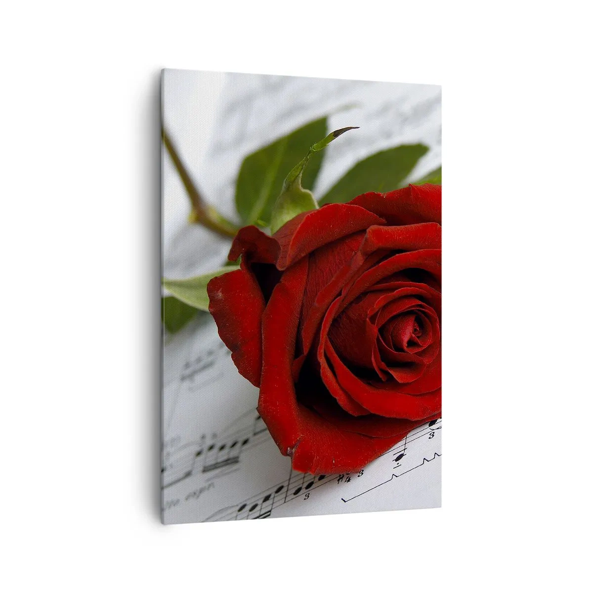 Tablou pe pânză - Muzica sentimentelor în stacojiu - 70x100 cm