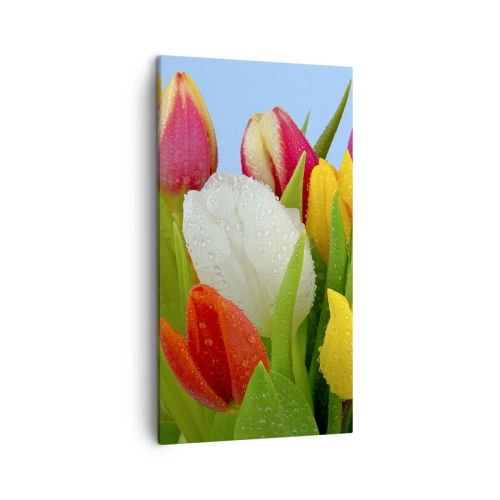 Tablou pe pânză - Un curcubeu floral în picături de rouă - 45x80 cm