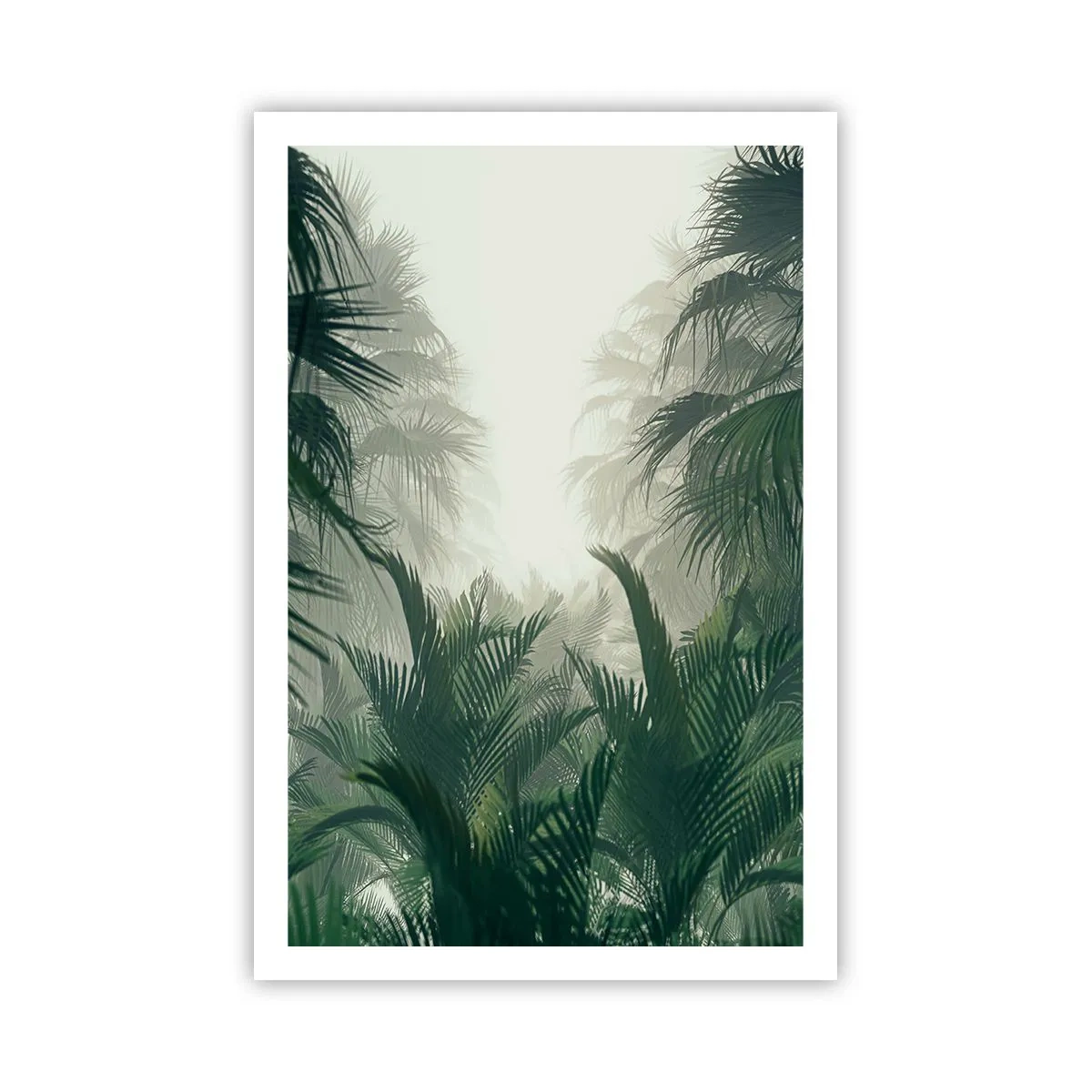 Poster - Mister tropical - 61x91 cm