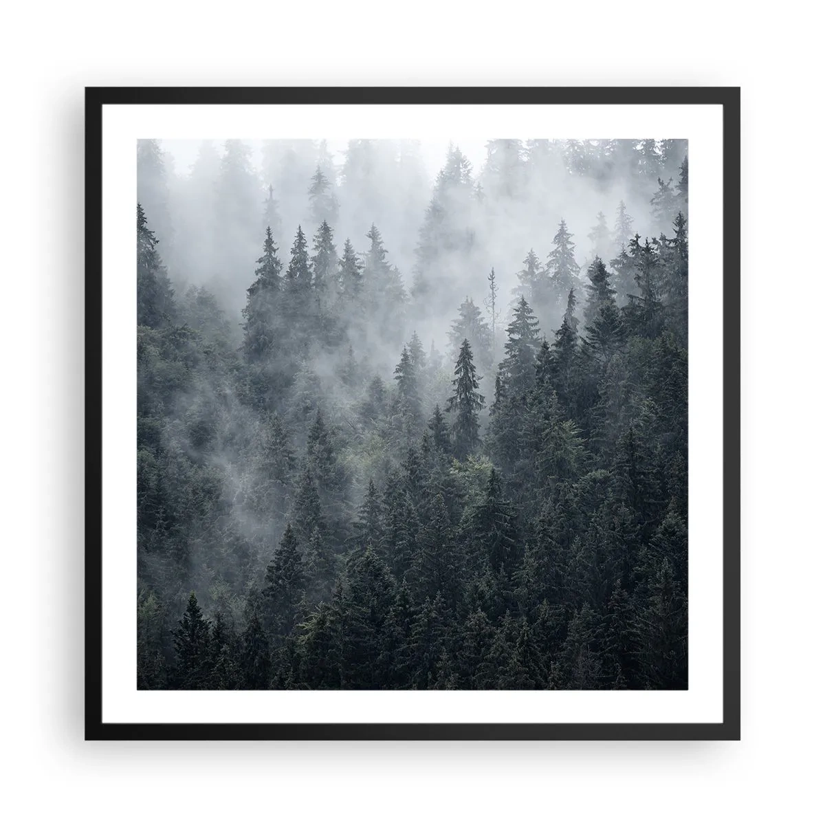 Poster în ramă neagră - Zori de pădure - 60x60 cm
