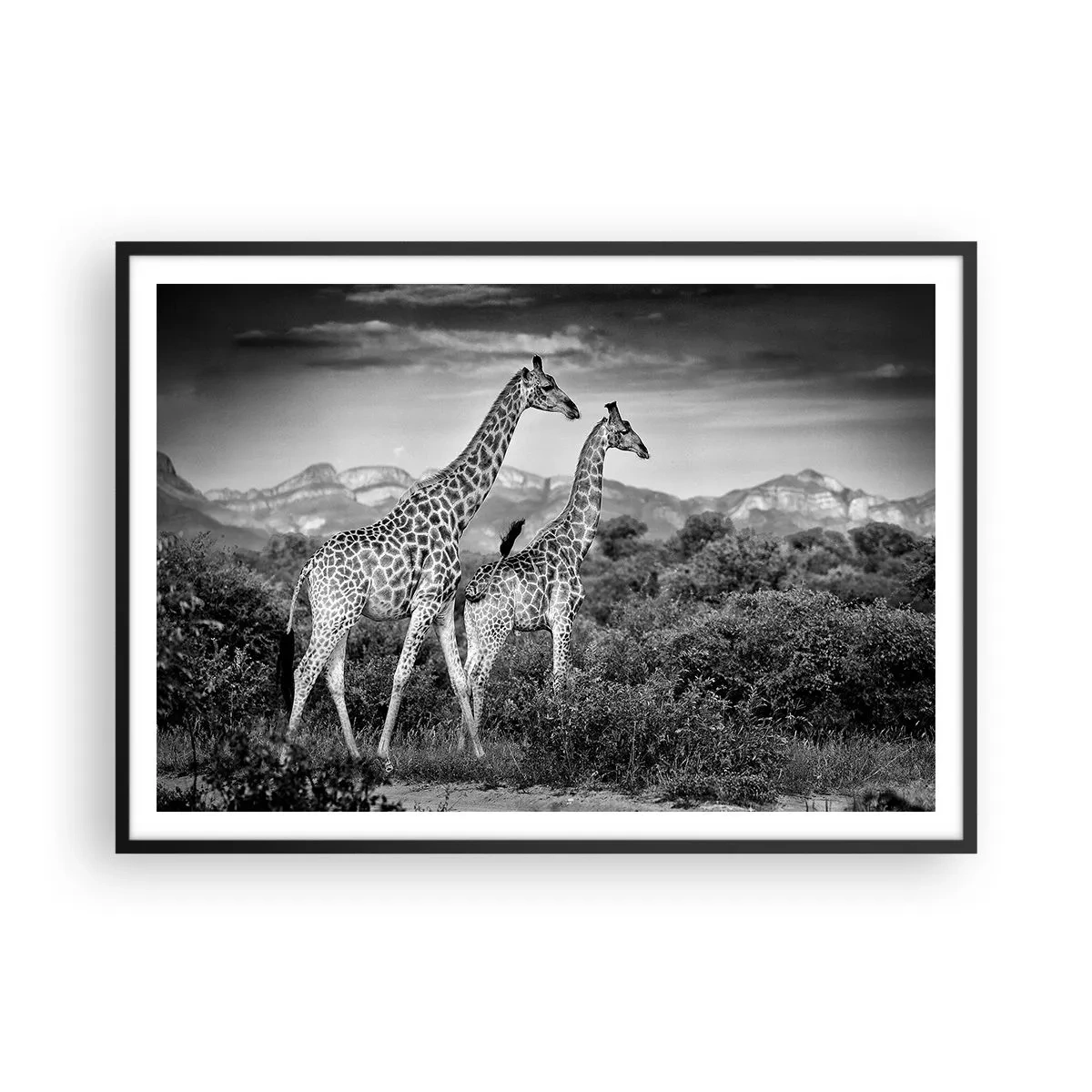 Poster în ramă neagră - Clasele superioare din Africa - 100x70 cm