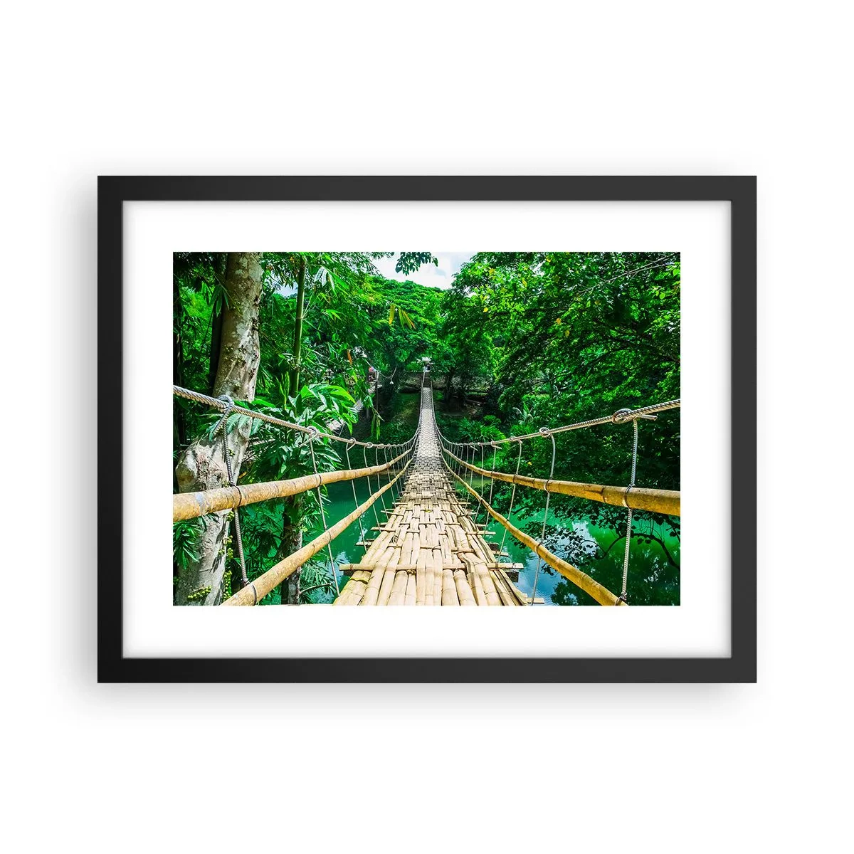 Poster în ramă neagră - Pod de maimuțe peste verdeață - 40x30 cm