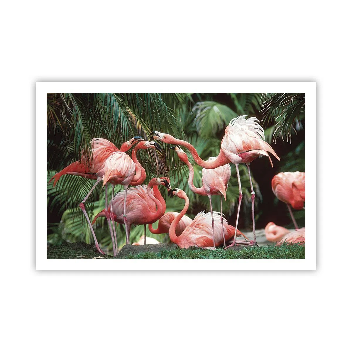 Poster - Bârfa de după-amiază - 91x61 cm