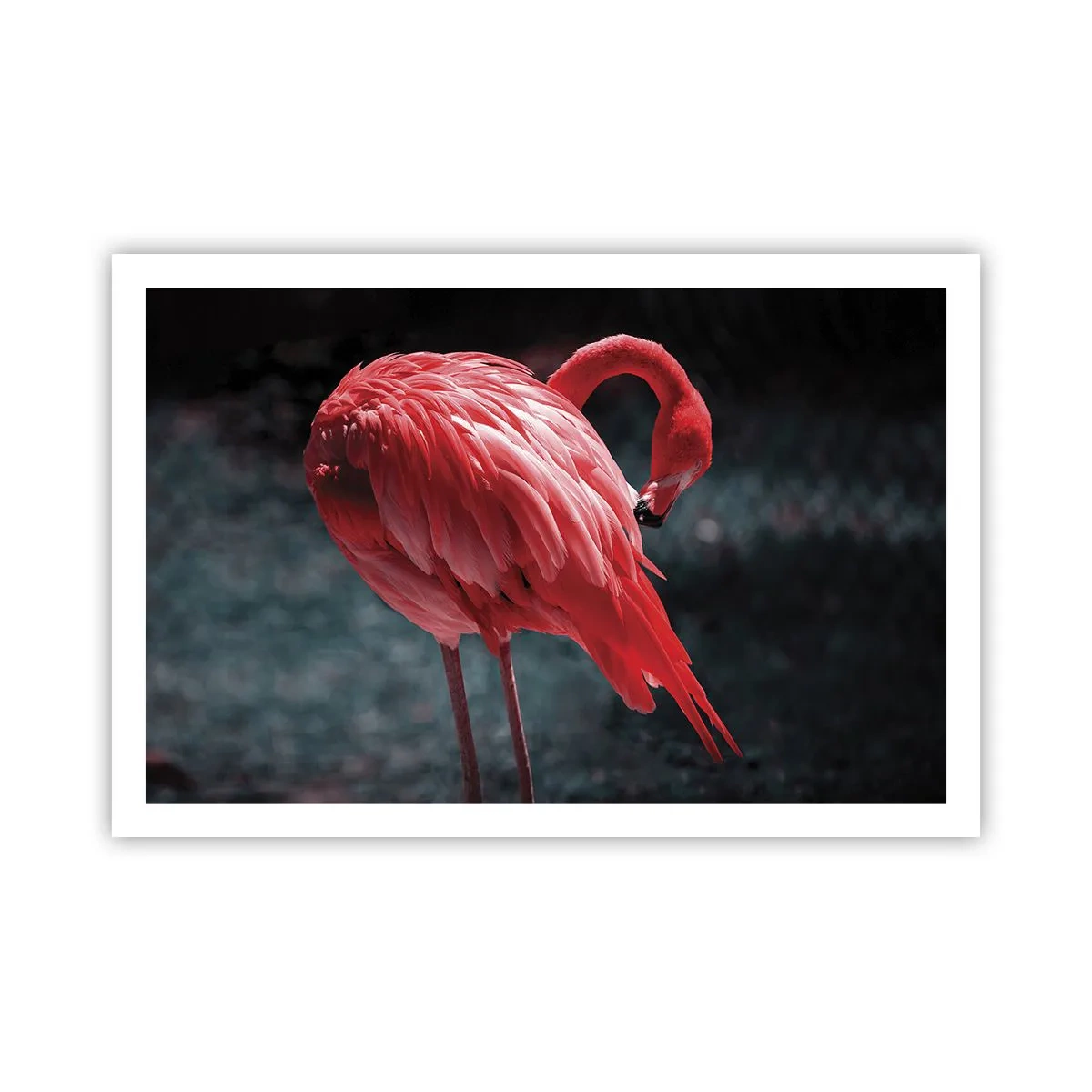 Poster - Poemul purpuriu al naturii - 91x61 cm