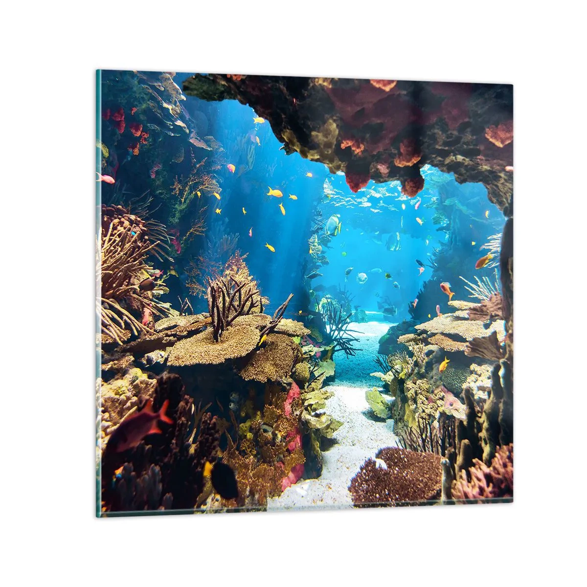 Tablou pe sticlă - Nu ai visat la asta - 70x70 cm