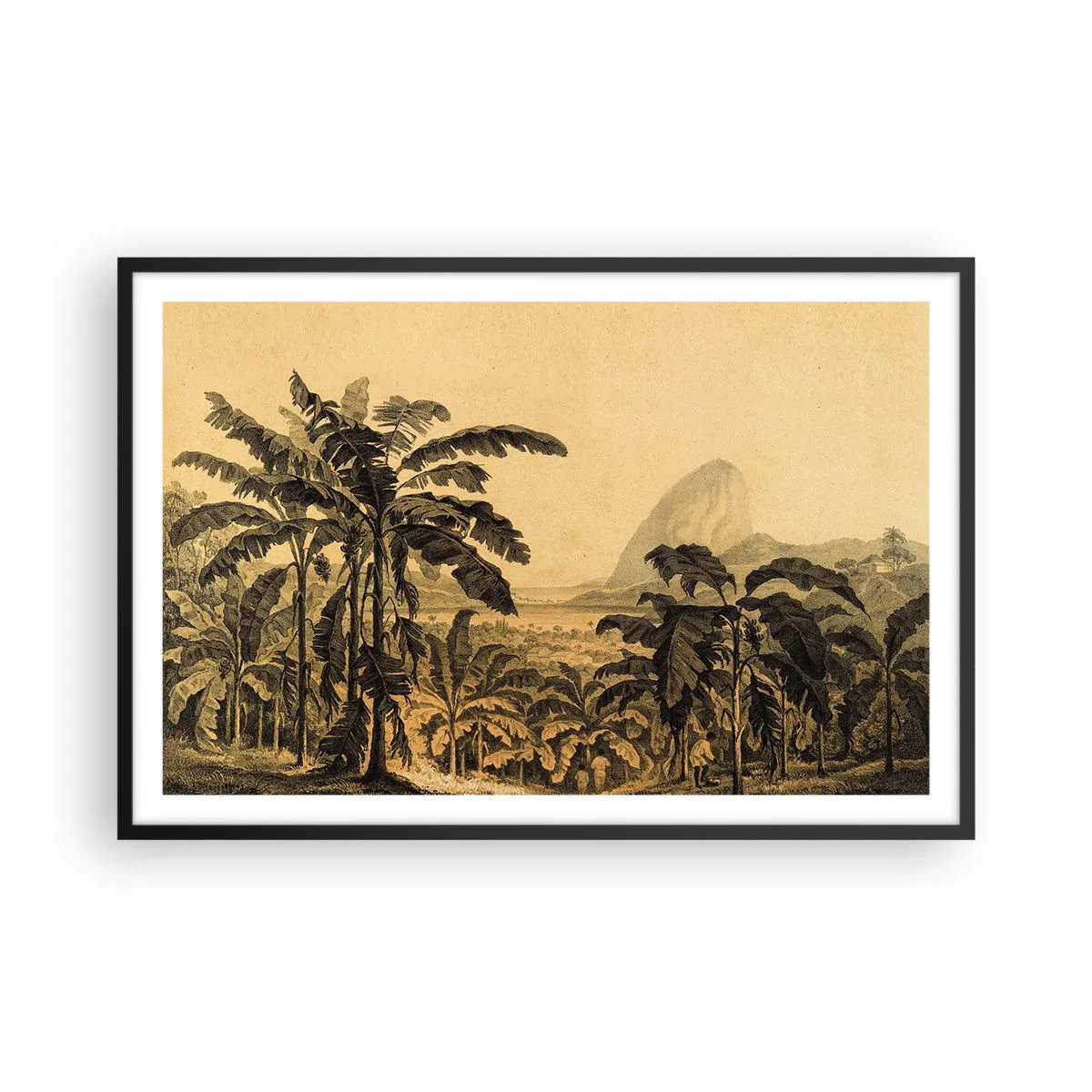 Poster în ramă neagră - În stil colonial - 91x61 cm