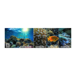 Mostră de Tapet Standard Eco - Comori subacvatice - recif de corali, Ocean, Maritim - 100x30 cm