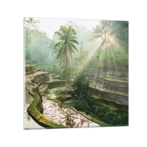 Tablou pe sticlă - Crescând la soare - 60x60 cm